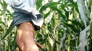 Indian Big Cock handjob in maize field